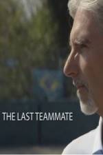 Watch Senna The Last Teammate 9Movies