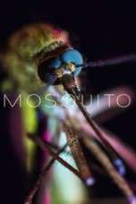 Watch Mosquito 9Movies