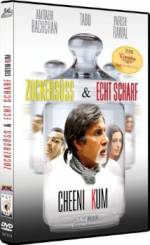 Watch Cheeni Kum 9Movies