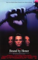 Watch Blood In, Blood Out 9Movies