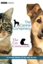 Watch The Cat Connection 9Movies