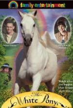 Watch The White Pony 9Movies