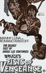 Watch Bruce\'s Fists of Vengeance 9Movies