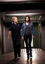 Watch The Good Mother 9Movies