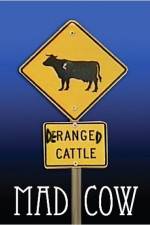 Watch Mad Cow 9Movies