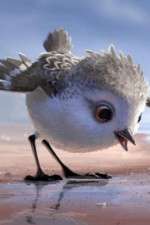 Watch Piper 9Movies