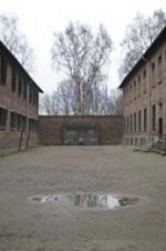 Watch Made in Auschwitz: The Untold Story of Block 10 9Movies
