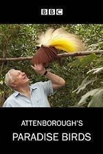 Watch Attenborough's Paradise Birds 9Movies