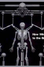 Watch How Wings Are Attached to the Backs of Angels 9Movies