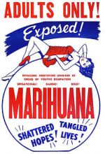 Watch Marihuana 9Movies