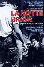 Watch The Big Night 9Movies