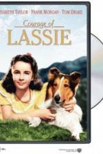 Watch Courage of Lassie 9Movies