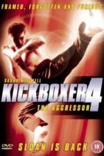 Watch Kickboxer 4: The Aggressor 9Movies