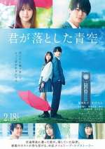 Watch The Blue Skies at Your Feet 9Movies