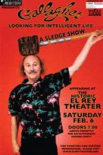 Watch Gallagher An Uncensored Evening 9Movies