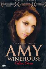Watch Amy Winehouse Fallen Star 9Movies