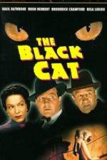 Watch The Black Cat 9Movies