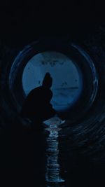 Watch Gwafi (Short 2022) 9Movies