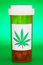 Watch Medicinal Cannabis and its Impact on Human Health 9Movies