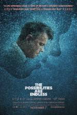 Watch The Possibilities Are Endless 9Movies