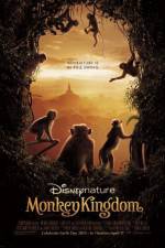 Watch Monkey Kingdom 9Movies