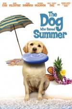 Watch The Dog Who Saved Summer 9Movies
