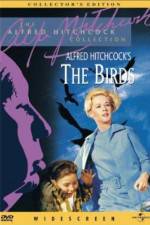 Watch The Birds 9Movies