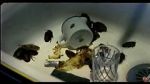 Watch Coup de lune (TV Short 2000) 9Movies