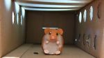 Watch Hamster Hell (Short 2012) 9Movies