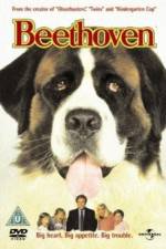 Watch Beethoven 9Movies