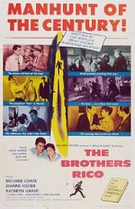 Watch The Brothers Rico 9Movies