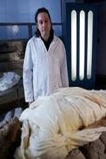 Watch Mummifying Alan Egypts Last Secret 9Movies
