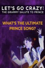 Watch Let\'s Go Crazy: The Grammy Salute to Prince 9Movies