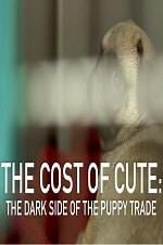 Watch The Cost of Cute: The Dark Side of the Puppy Trade 9Movies
