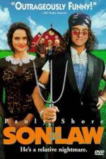 Watch Son in Law 9Movies