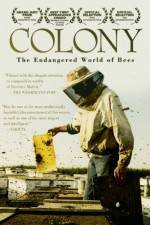 Watch Colony 9Movies