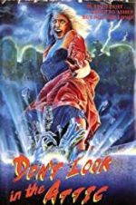 Watch Don\'t Look in the Attic 9Movies