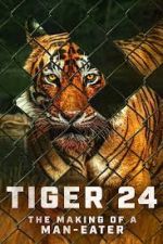 Watch Tiger 24 9Movies
