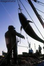 Watch National Geographic: Cheating Death Tuna Cowboys 9Movies