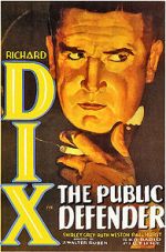 Watch The Public Defender 9Movies