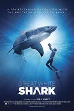 Watch Great White Shark 9Movies