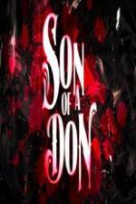 Watch Son of a Don 9Movies