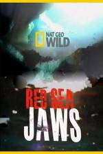 Watch National Geographic Red Sea Jaws 9Movies