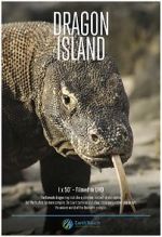 Watch Dragon Island 9Movies