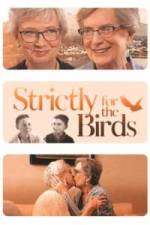 Watch Strictly for the Birds 9Movies