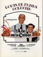 Watch Aripioara sau picior? 9Movies