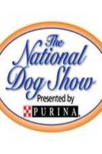 Watch National Dog Show 9Movies