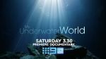 Watch My Underwater World (TV Special 2024) 9Movies