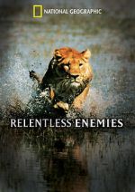 Watch Relentless Enemies 9Movies