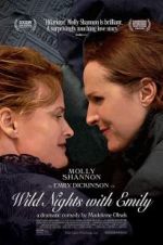 Watch Wild Nights with Emily 9Movies